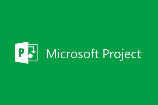 MS Project Professional Beginner to Expert. - Online Course Download